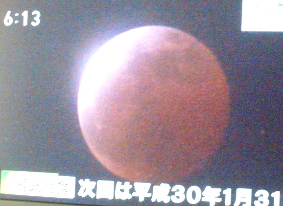 e0149996_1736584.jpg