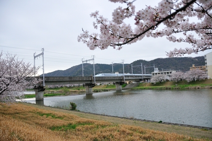 姫路城と周辺の桜を撮影してきました。_e0117398_11173519.jpg