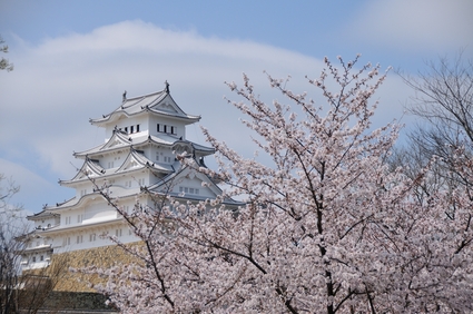 姫路城と周辺の桜を撮影してきました。_e0117398_116201.jpg