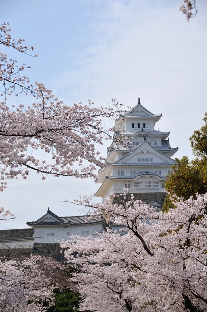 姫路城と周辺の桜を撮影してきました。_e0117398_1173228.jpg