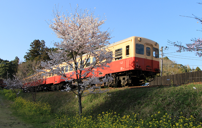 a0184303_11583340.jpg