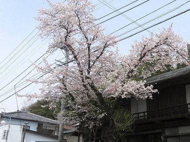 小栗上野介終焉の地を訪ねる_c0187004_16015587.jpg