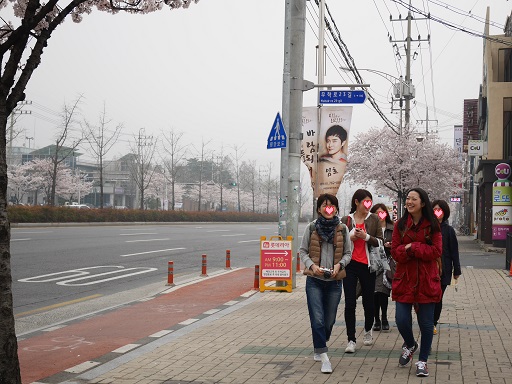 2015　桜色の大邱　⑧庶民カルビ（서민갈비）で美味しい焼肉_a0140305_3271583.jpg