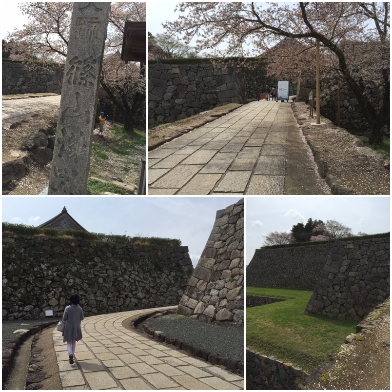 丹波篠山へ・・・_a0326106_20483762.jpg