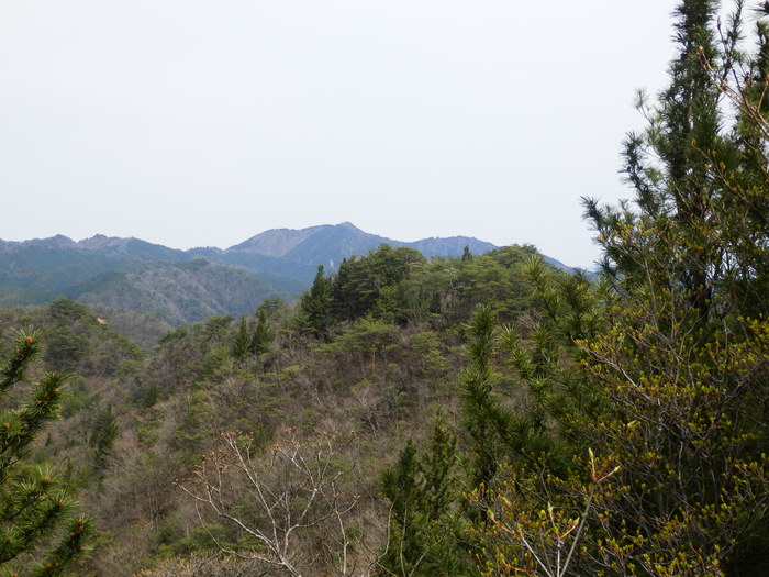 f0219710_8154998.jpg
