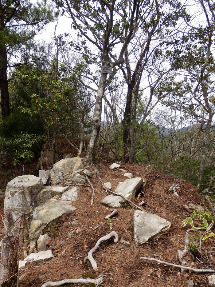 f0219710_8353773.jpg