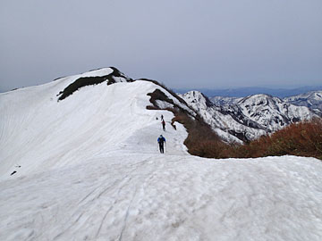 石徹白 小白山 俵谷と小白山谷を滑る_a0133014_21332544.jpg