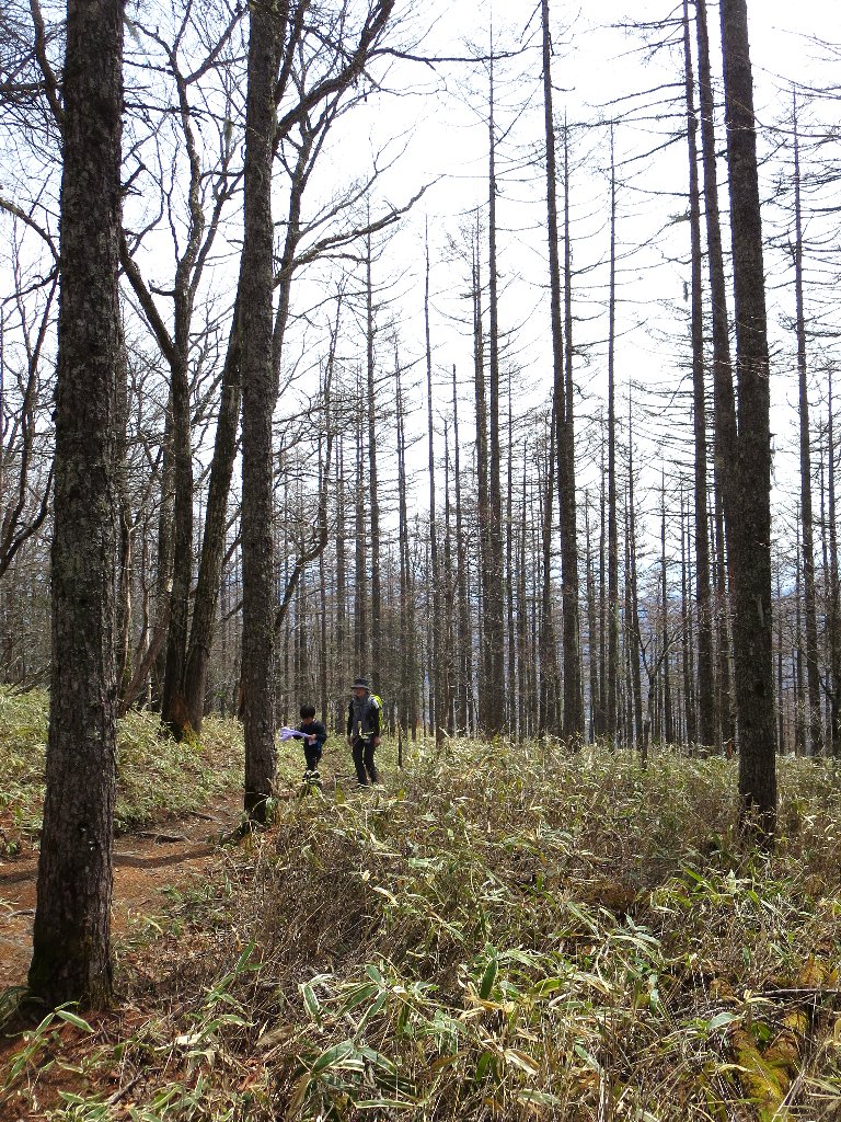 山頂は白い砂と奇岩群！日向山。_a0165316_938817.jpg