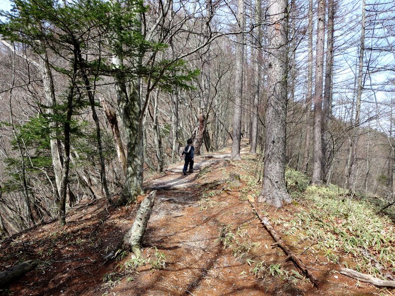 山頂は白い砂と奇岩群！日向山。_a0165316_940527.jpg