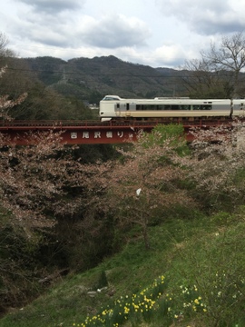 桜を見に、福井までドライブ。_a0000519_18562927.jpg