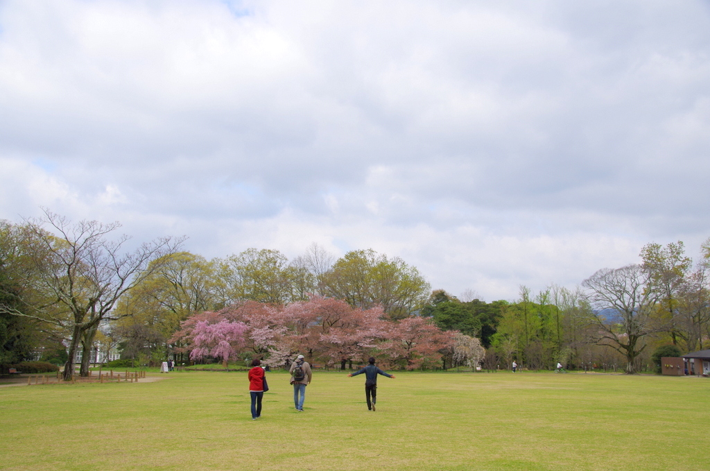 思い出の植物園へ_d0072720_9382445.jpg