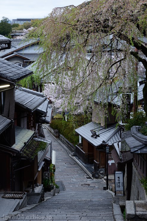 京都 二年坂三年坂 ～桜～_d0319222_1081889.jpg