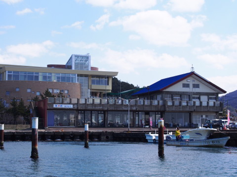 湯の島カタクリ祭り(青森市)*2015.04.09_b0147224_2054146.jpg