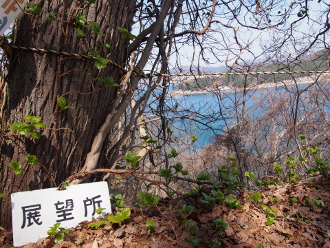 湯の島カタクリ祭り（青森市）*2015.04.09_b0147224_2085880.jpg