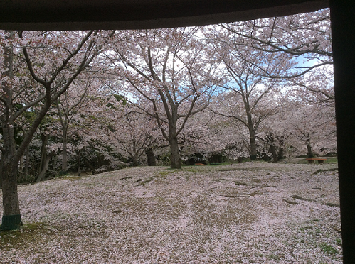 d0153627_9584216.png