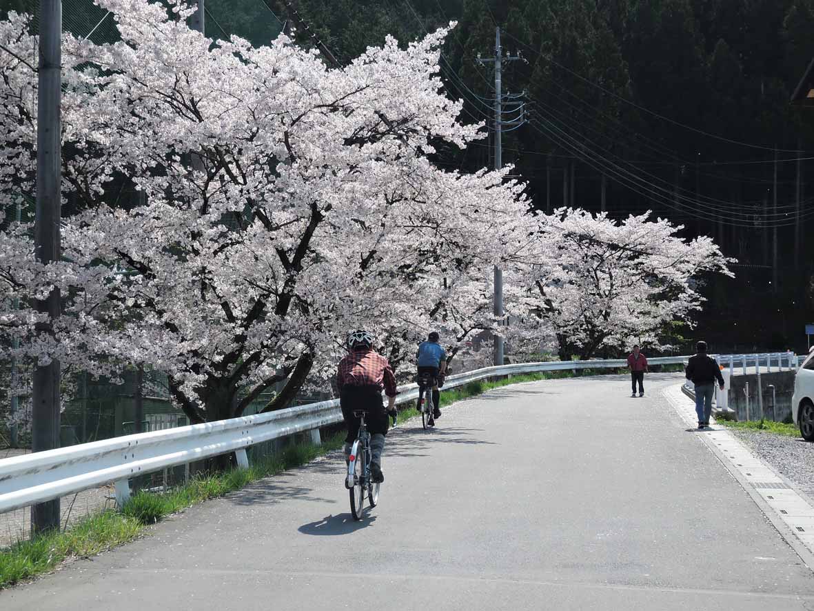 春の奥武蔵ラン_d0211129_1481163.jpg