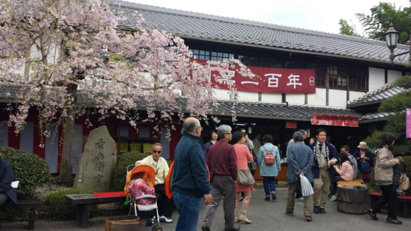 幸兵衛窯 蔵出市_e0155231_15291381.jpg