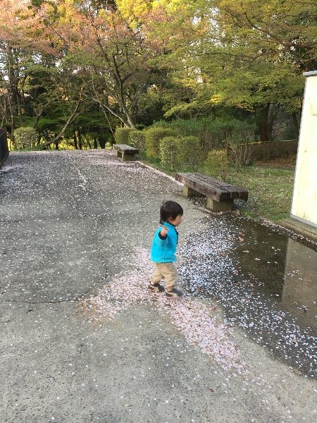c0113733_073357.jpg