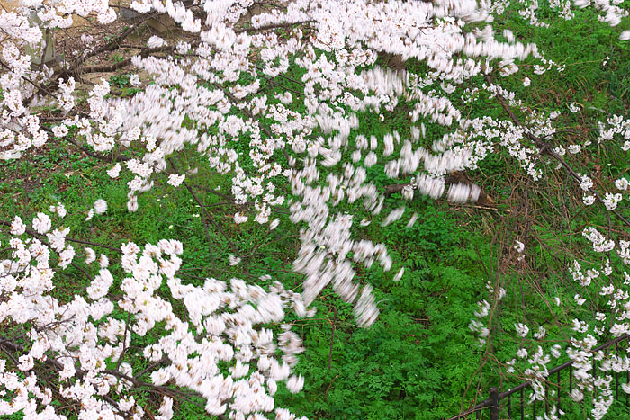 c0067040_2351859.jpg