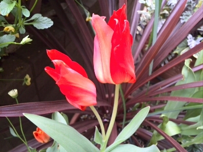 c0348441_22515065.jpg