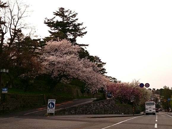 お花～車窓から～_e0291042_12365.jpg