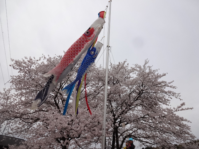 今日は・・・_d0166047_1350154.jpg