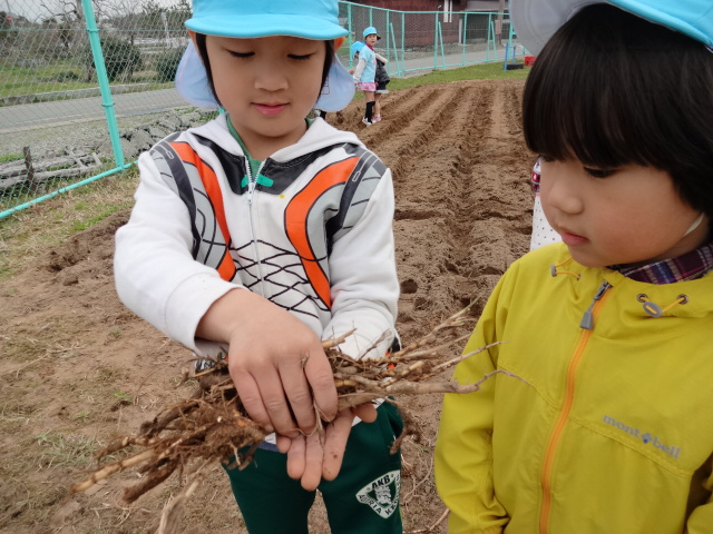 今日は・・・_d0166047_1432449.jpg