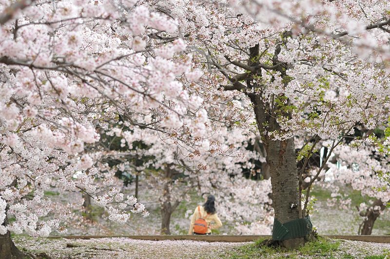 いつもの公園_c0334250_20004773.jpg