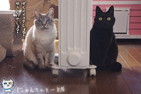 えっへん!_e0031853_22141477.jpg