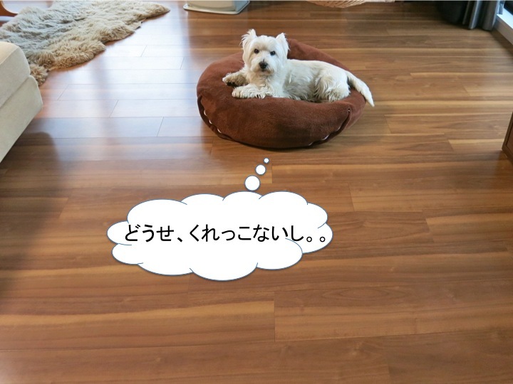 ふるさと納税第2弾_c0260460_11392588.jpg
