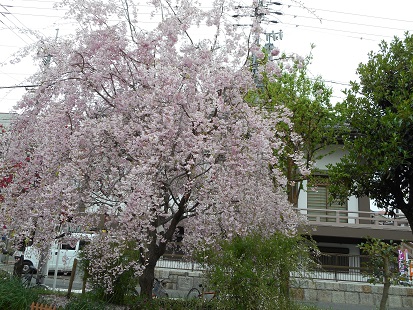 b0259063_19494597.jpg