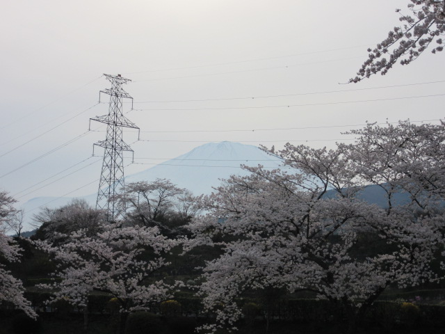 d0109373_19687.jpg
