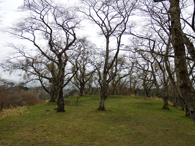 f0140773_13362876.gif