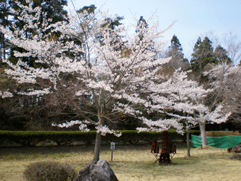 f0140773_1436022.gif