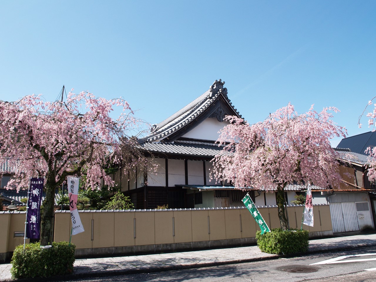 『伊奈波神社参道の枝垂桜と岐阜善光寺』_d0054276_2071285.jpg