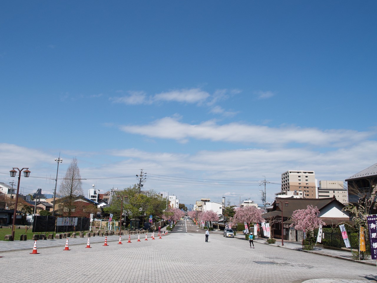 『伊奈波神社参道の枝垂桜と岐阜善光寺』_d0054276_2075986.jpg