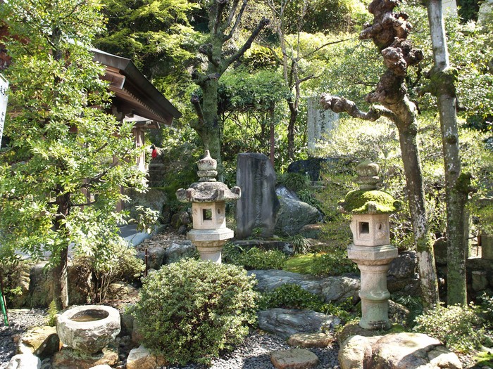 『伊奈波神社参道の枝垂桜と岐阜善光寺』_d0054276_2094125.jpg