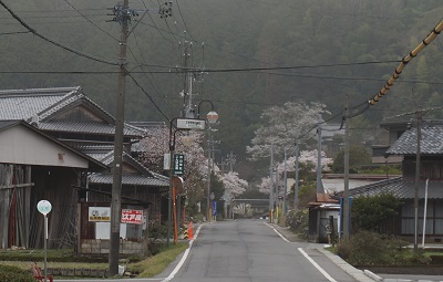 十三日　その二　　続 山本太郎の存在の大きさ。_c0243877_12433973.jpg