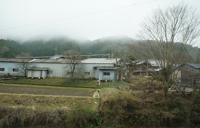 十三日　その二　　続 山本太郎の存在の大きさ。_c0243877_12455540.jpg