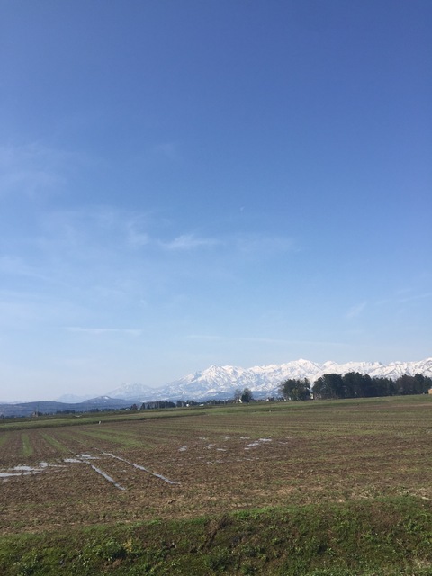 妙高山のはね馬_d0182179_15103779.jpg