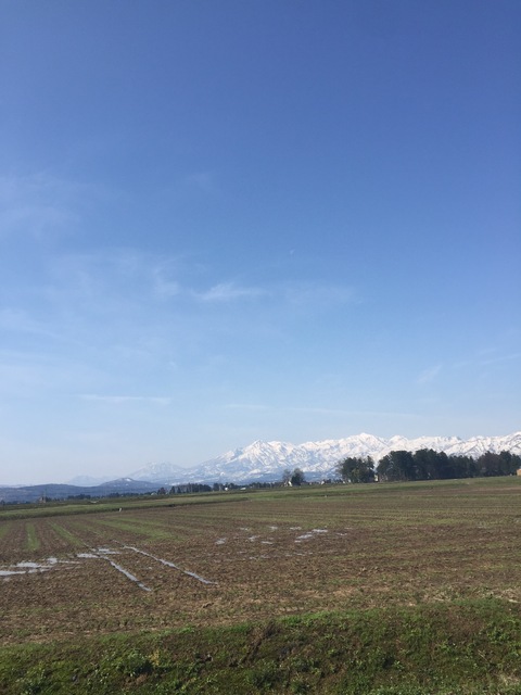 妙高山のはね馬_d0182179_15103779.jpg