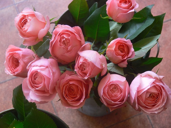 ロマンティックアンティーク フラワーショップデリカの花日記