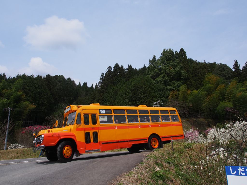 豊田市上中のしだれ桃_e0200287_11464552.jpg