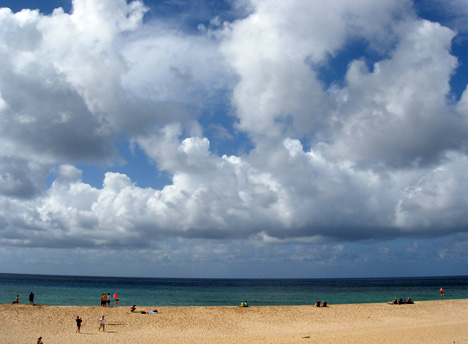 d0129295_1652463.jpg