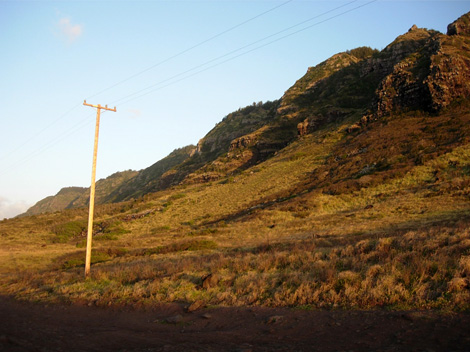 d0129295_16531757.jpg