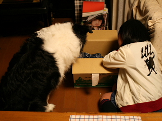 ハル_e0145995_1438851.jpg