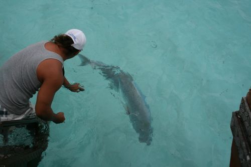 旅日記　クック諸島　2012MAY その12　Aitutaki Lagoon cruise_f0059796_1457534.jpg