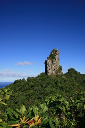 旅日記 クック諸島 2012MAY その16 Paさんのトレッキング_f0059796_1781440.jpg
