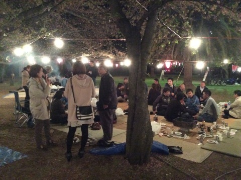 平成27年度「なんよ会」花見会に行きました!_b0186200_06135882.jpg