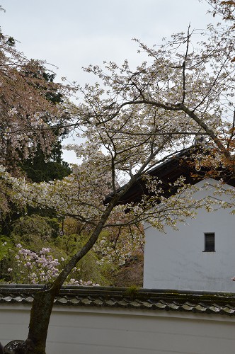 醍醐寺→法界寺→南禅寺_c0124100_23273583.jpg